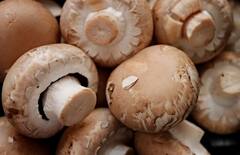 Benefits Of Mushroom: রোগ প্রতিরোধে ম্য়াজিকের মতো কাজ করবে মাশরুম