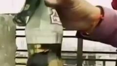 Delhi Riots: Charges framed against 10 people; Court gives STERN Statement