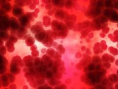 Dementia: ఈ బ్లడ్ గ్రూపు వారికి మతిమరుపు వచ్చే అవకాశం చాలా ఎక్కువ... నిర్ధారించిన అధ్యయనం