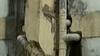 વડોદરામાં 121 શાળાઓ પૈકી 10 શાળાઓ તદ્દન જર્જરિત હાલતમાં, જુઓ ગુજરાતી ન્યુઝ