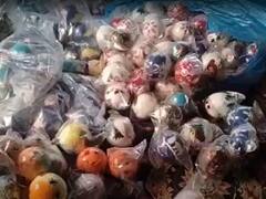 Paper Mache Art: विदेशी ऑर्डर मिलने से फिर जिंदा हुई 700 साल पुरानी कश्मीर की ये आर्ट, कोरोना के चलते तबाह हो गया था बिजनेस