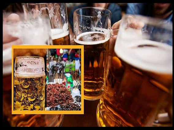 Cockroach Beer: கரப்பான் பூச்சி பீர் ரெடி: ஜில்லினு குடிச்சு... ஜல்லுனு போலாமாம்: பாட்டில் ரூ.450 தான்! Cockroach Beer: கரப்பான் பூச்சி பீர் ரெடி: ஜில்லினு குடிச்சு... ஜல்லுனு போலாமாம்: பாட்டில் ரூ.450 தான்!