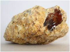 Trending News: महिला को कचरे जैसी दिखने वाली चीज ने एक पल में बना दिया करोड़पति, हाथ लगा ये बेशकीमती सामान