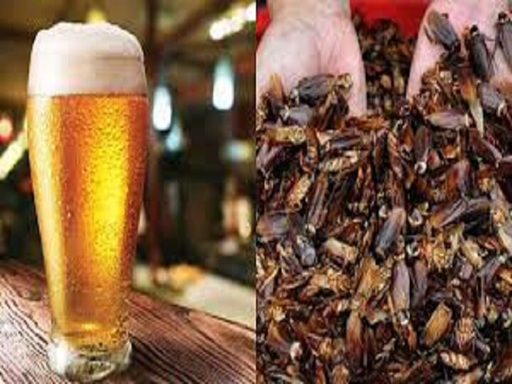 Cockroach Beer: கரப்பான் பூச்சி பீர் ரெடி: ஜில்லினு குடிச்சு... ஜல்லுனு போலாமாம்: பாட்டில் ரூ.450 தான்!