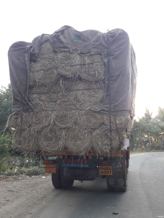 தஞ்சாவூரில் கடும் வைக்கோல் தட்டுப்பாடு - கேரளாவுக்கு இறைச்சிக்காக கொண்டு செல்லப்படும் மாடுகள்