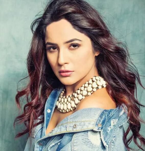 প্রসঙ্গত টিভি শো, সিরিয়াল থেকে শুরু করে বিভিন্ন মিউজিক ভিডিওতে এইমুহূর্তে কাজ করছেন শেহনাজ।