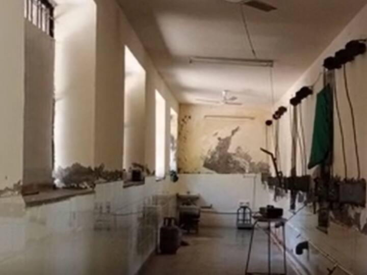 Jodhpur News: जोधपुर के सफारी पार्क में शेर सहित दूसरे जानवरों को सर्दी से बचाने के हुए ये खास इंतजाम