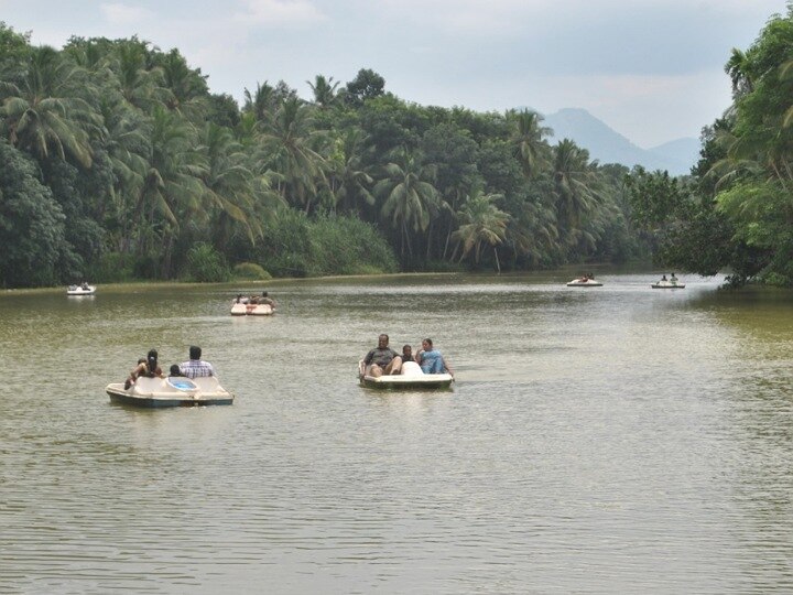 Thirparappu Falls: திற்பரப்பு அருவியில் சுற்றுலா பயணிகள் குளிக்க இன்று முதல் அனுமதி