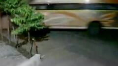 આણંદ: બોરસદમાં ખાનગી બસને અકસ્માત નડ્યો, બસ એક મકાનમાં ઘુસી ગઈ,જુઓ ગુજરાતી ન્યુઝ