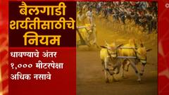 Bailgada Sharyat: बैलगाडा शर्यतीला परवानगी दिल्यानंतर सर्वोच्च न्यायालयाच्या अटी, नियम काय? ABP Majha