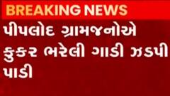 દાહોદમાં મતદારોને રીઝવવા માટે કૂકરની ભેટ આપી હોવાનો આરોપ લાગ્યો, જુઓ ગુજરાતી ન્યુઝ