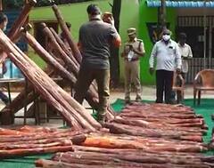 Red Sandal: అక్రమ రవాణాతో కోట్లు దండుకుంటున్న ఎర్రచందనం ముఠా..