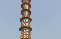 Ujjain में पक्षियों का नया बसेरा देखकर दंग रह जाएंगे आप