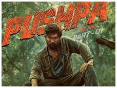 Allu Arjun की Pushpa हुई रिलीज़, Netflix, Disney + Hotstar और Amazon Prime Video पर देखने लायक है एक्टर की ये फिल्में