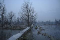 Jammu Kashmir Weather: श्रीनगर में सर्दी ने तोड़ा रिकॉर्ड, माइनस 6 डिग्री के साथ सबसे ठंडा मौसम दर्ज