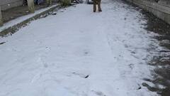 Snowfall: মানালি, ভরমৌরে টানা তুষারপাত, কাশ্মীর-লাদাখে শূন্যের নিচে তাপমাত্রা। Bangla News