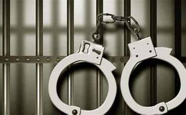 Gurugram court issued arrest warrant against suspended IPS officer Dheeraj Kumar Setia in connection theft of crores of rupees Gurugram News:  निलंबित IPS अधिकारी के खिलाफ गिरफ्तारी वारंट, जानिए पूरा मामला और पकड़ने के लिए क्या किया जाएगा