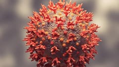 Omicron: দেশে ওমিক্রন আক্রান্তের সংখ্যা ছাড়াল ১০০, রাজ্যে একদিনে করোনা সংক্রমিত প্রায় ৬০০ | Bangla News