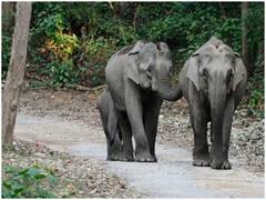 Best Places to Visit near Delhi: वीकेंड पर घूमने के लिए दिल्ली से सटी ये जगह हैं बेस्ट डेस्टिनेशन, जानिए डिटेल्स