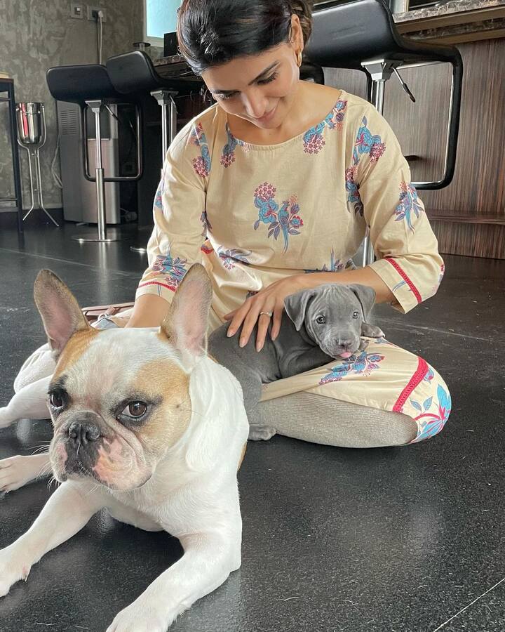 సామ్ కు పప్పీలంటే ప్రాణం. నాగచైతన్యను పెళ్లి చేసుకున్న వెంటనే ఈ రెండు కుక్కలను పెంచుకోవడం మొదలుపెట్టింది. (Image credit: Samantha/ Instagram)