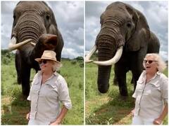 Trending News: हाथी ने महिला की टोपी गायब कर किया मजेदार प्रैंक, रिक्वेस्ट करने पर किया वापस