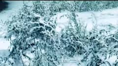 Weather Update: ठंड से ठिठुर रहा पूरा उत्तर भारत, दिल्ली में आज रहा मौसम का सबसे ठंडा दिन