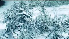 Mercury dips after snowfall in parts of Himachal Pradesh