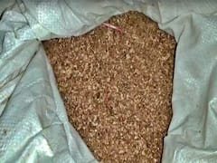 East Godavari: షూ పాలిష్ పేరుతో నకిలీ టీ పౌడర్ తయారీ... భారీగా జీడి పిక్కల తుక్కు పట్టివేత...