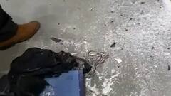 Rohini Court Bomb Blast: अदालत में सनकी साइंटिस्ट का वकील से बदला ! | सनसनी | 18.12.2021