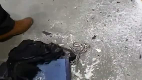 Rohini Court Bomb Blast: अदालत में सनकी साइंटिस्ट का वकील से बदला ! | सनसनी | 18.12.2021