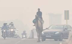 Delhi Weather: āĻĄāĻŋāϏā§āĻŽā§āĻŦāϰ⧠āϰā§āĻāϰā§āĻĄ āĻĒāĻžāϰāĻĻ āĻĒāϤāύ, āĻļā§āϤā§āϝāĻĒā§āϰāĻŦāĻžāĻšā§āϰ āϏāĻžāĻā§āώ⧠āĻĻāĻŋāϞā§āϞāĻŋāĻŦāĻžāϏā§