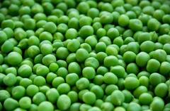 Benefits Of Peas: ত্বকের সৌন্দর্য ধরে রাখা থেকে হজম শক্তি বৃদ্ধি, একাধিক গুণ কড়াইশুঁটির