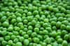 Benefits Of Peas: ত্বকের সৌন্দর্য ধরে রাখা থেকে হজম শক্তি বৃদ্ধি, একাধিক গুণ কড়াইশুঁটির