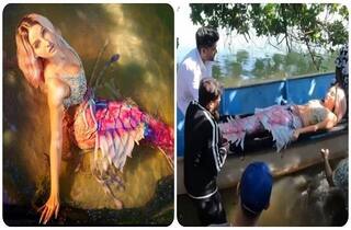 નોરા ફતેહીને કેમ સ્ટ્રેચરમાં સૂવડાવીને સેટ પર લાવવી પડી ? કારણ જાણીને ચોંકી જશો