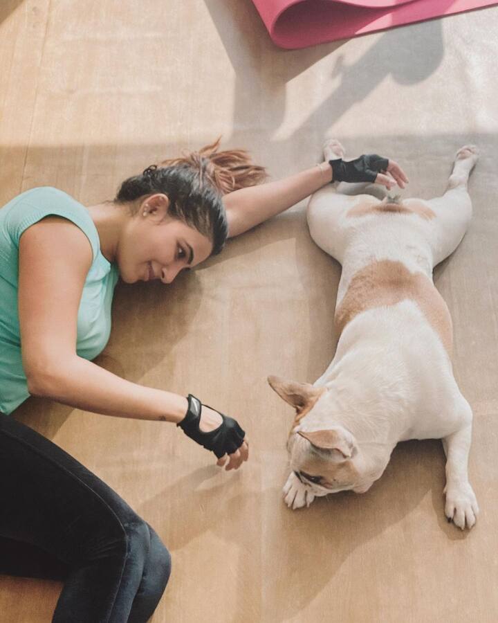 క్యూటీ పప్పీస్ తో సమంత (Image credit: Samantha/ Instagram)