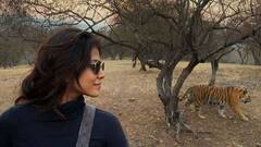 மயக்கும் மாளவிகா மோகனனின் லேட்டஸ்ட் புகைப்படங்கள்