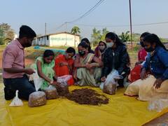 Bastar News: बस्तर की महिलाओं को मशरूम उत्पादन से मिलेगा रोजगार, जानिए कैसे होती है खेती और कम लागत में कितना मुनाफा