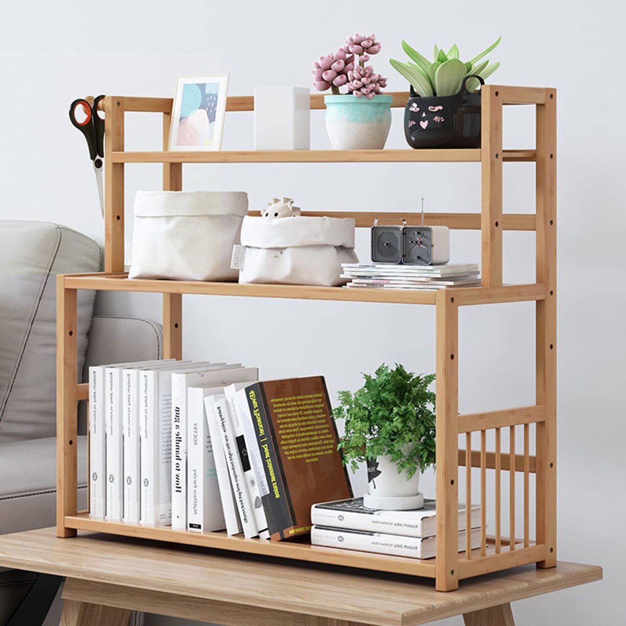 Amazon Deal: ड्रॉइंग रूम के लिए खरीदें ये बेहद सस्ती और स्टाइलिश Wooden Bookshelf, कीमत 700 रुपये से शुरू