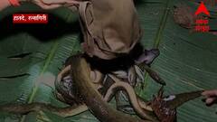 Konkan Fishing : कोकणातील नद्यांमध्ये रात्रीच्या किर्र अंधारात मासेमारीता थरार, खास रिपोर्ट