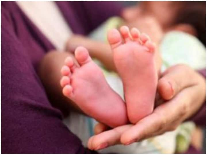 Chhattisgarh Mungeli Cruel Parents throw a New Birth Girl Protect by Dog ANN Mungeli News: माता-पिता ने किया इंसानियत को शमर्सार तो जानवरों ने ऐसे रखी लाज, जानें हैरान करने वाला मामला