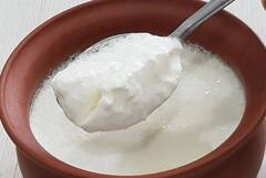 ਮੀਟ-ਮੱਛੀ ਤੇ ਅੰਡੇ ਨੂੰ ਚੁਣੌਤੀ ਦਿੰਦੇ ਇਹ ਸਾਕਾਹਾਰੀ ਭੋਜਨ, ਪ੍ਰੋਟੀਨ ਦਾ ਖਜਾਨਾ