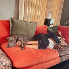 Samantha Photos: సమంతా ‘బెడ్‌మేట్’ ఎవరో చూడండి... సూపర్ క్యూటీస్