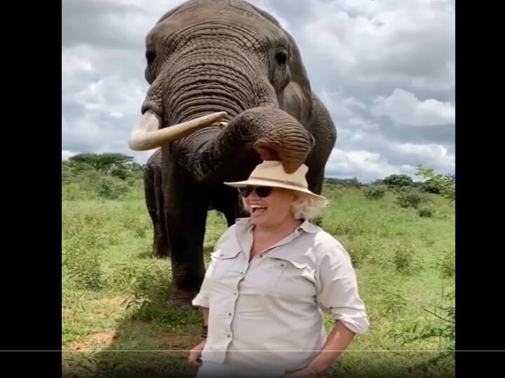 Viral Video Elephant Pretends To Eat Womans Hat, But Then Gives It Back- Watch Video Watch Video: இது எப்படி இருக்கு.? இது தொப்பி கலாய்.! ஜித்து ஜில்லாடி, இந்த யானை கில்லாடி..! வைரல் வீடியோ