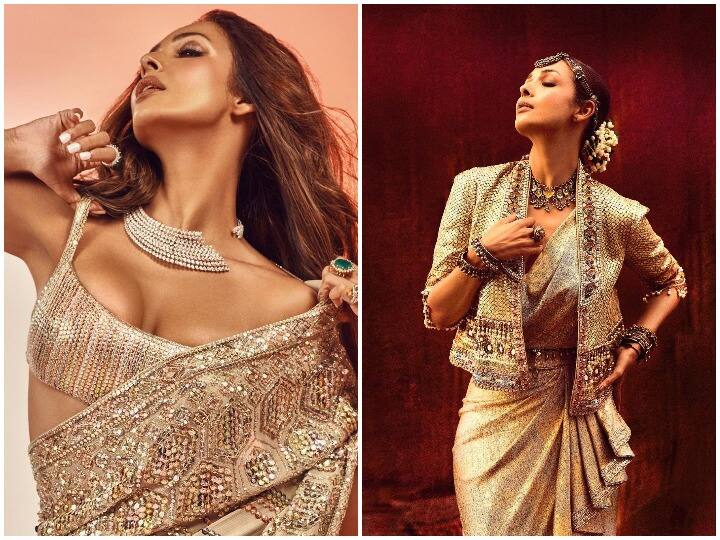 Malaika Arora Saree Look: मॉडल और एक्ट्रेस (Actress) मलाइका अरोड़ा (Malaika Arora) अपने हुस्न के जादू से लोगों के दिलों पर राज करती हैं. एक्ट्रेस सिर्फ वेस्टर्न आउटफिट (Western Outfit) में ही नहीं बल्कि साड़ी में भी कहर बरपाती हैं. आज हम मलाइका (Malaika) के ऐसे ही कुछ साड़ी लुक को आपके सामने पेश करने जा रहे हैं.