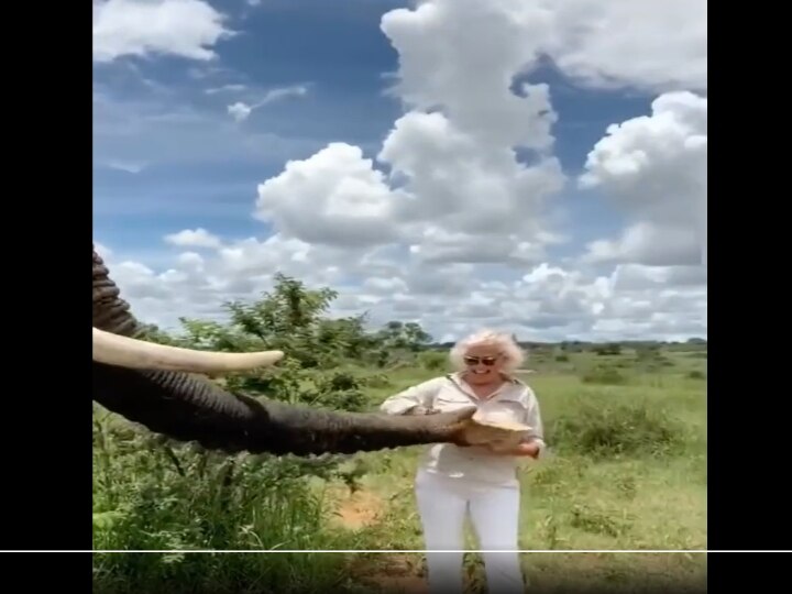 Watch Video: இது எப்படி இருக்கு.? இது தொப்பி கலாய்.! ஜித்து ஜில்லாடி, இந்த யானை கில்லாடி..! வைரல் வீடியோ