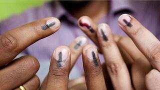 Gram Panchayat : ગુજરાતની 8,684 ગ્રામ પંચાયતમાં મતદાન શરૂ, પ્રથમ બે કલાકમાં 9 ટકા મતદાન