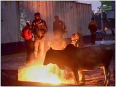 Winter Season: दिल्ली, UP समेत शीत लहर की चपेट में आए कई राज्य, जानें कब मिलेगी कड़ाके की ठंड से राहत