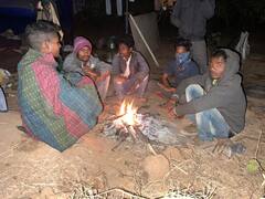 Ambikapur News: सरगुजा संभाग में पारा 5 डिग्री नीचे लुढका, 