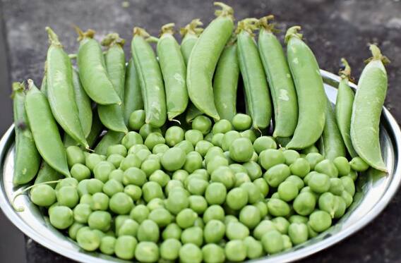 কড়াইশুঁটিতে একাধিক উপকার