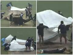 Watch: ऑस्ट्रेलिया की घरेलू महिला क्रिकेट टीम सोशल मीडिया पर जीत रही लोगों का दिल, वजह जान आप भी पिघल जाओगे